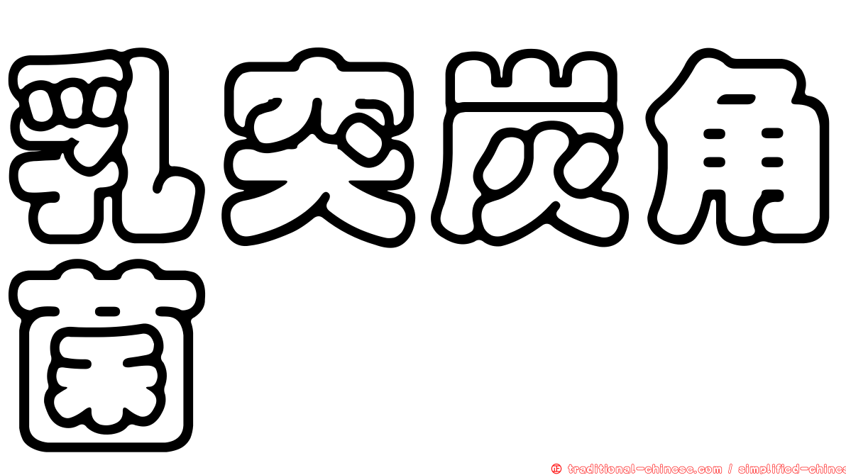 乳突炭角菌