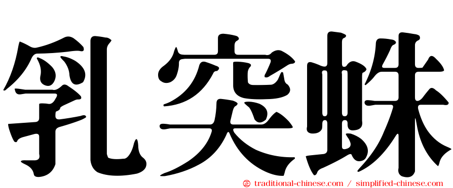 乳突蛛