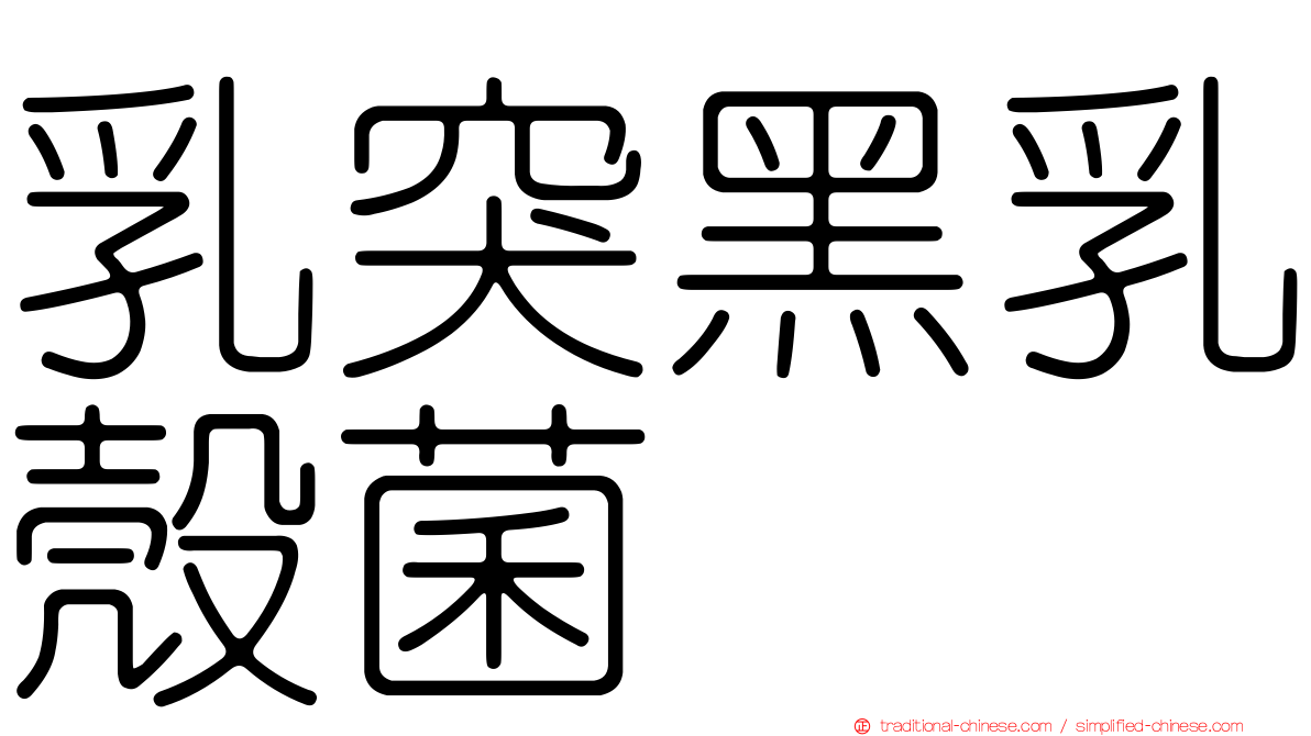 乳突黑乳殼菌
