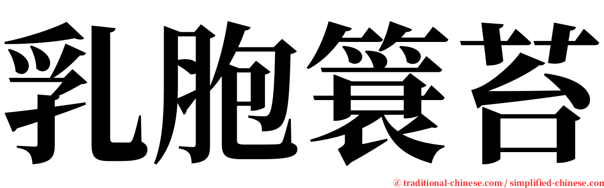 乳胞簑苔 serif font