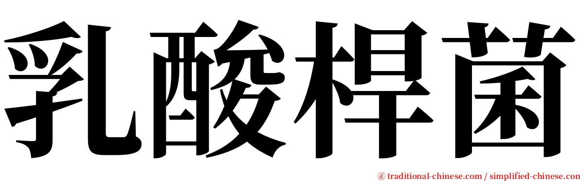 乳酸桿菌 serif font