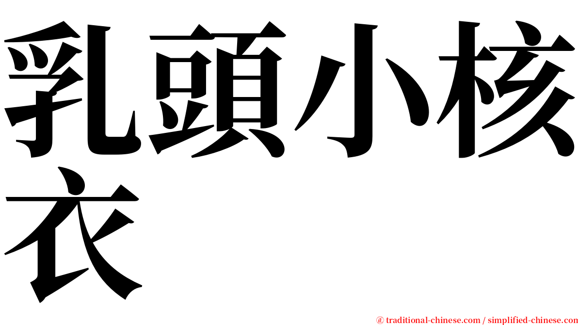 乳頭小核衣 serif font