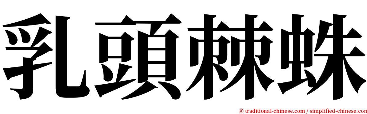 乳頭棘蛛 serif font