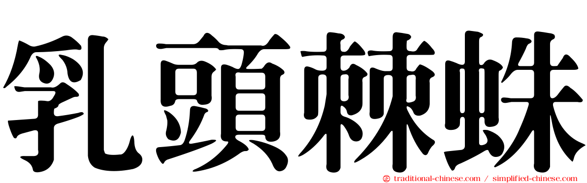 乳頭棘蛛
