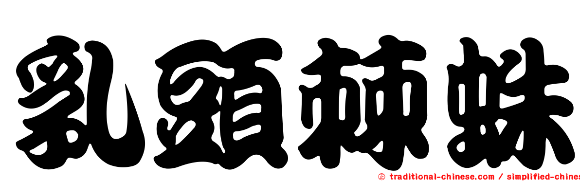乳頭棘蛛