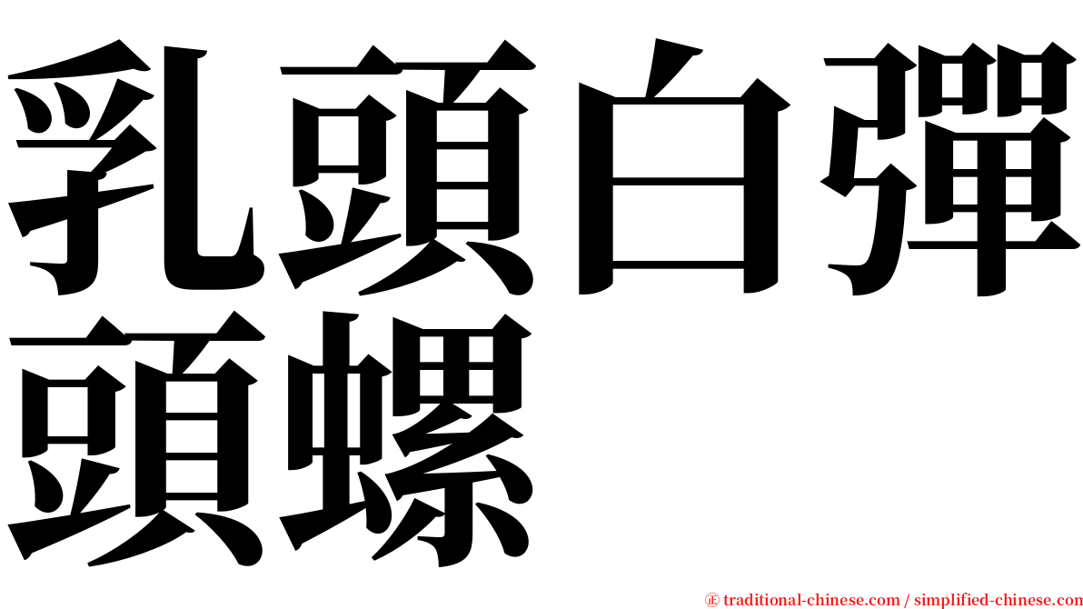 乳頭白彈頭螺 serif font