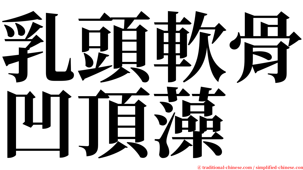 乳頭軟骨凹頂藻 serif font