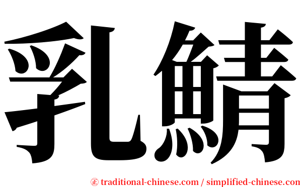 乳鯖 serif font