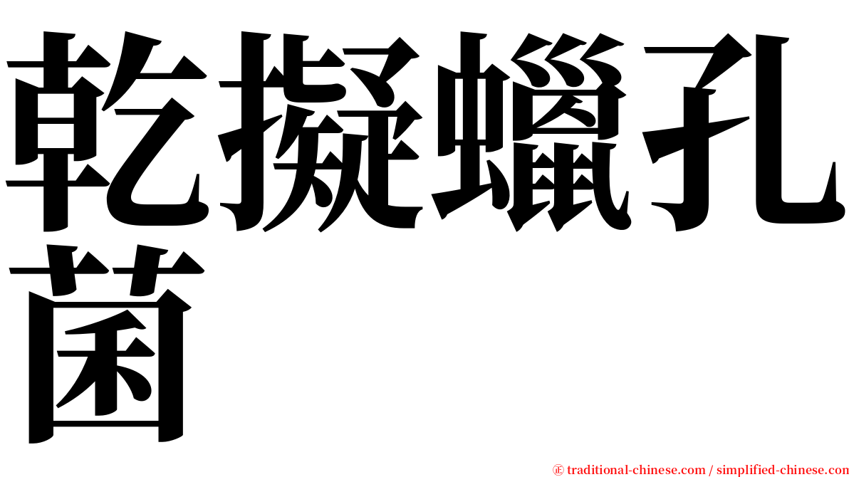乾擬蠟孔菌 serif font