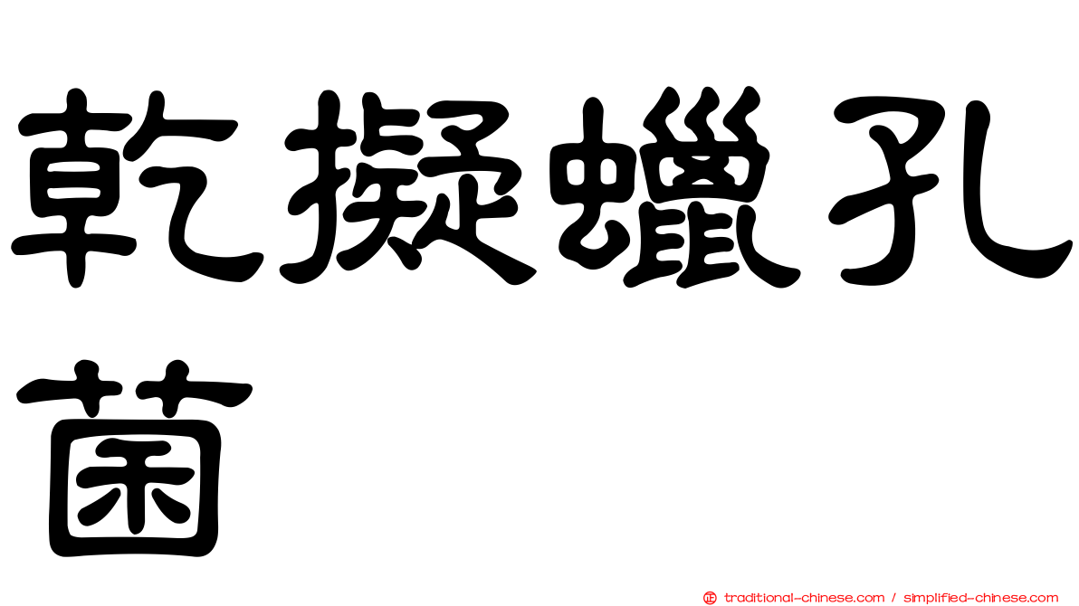 乾擬蠟孔菌