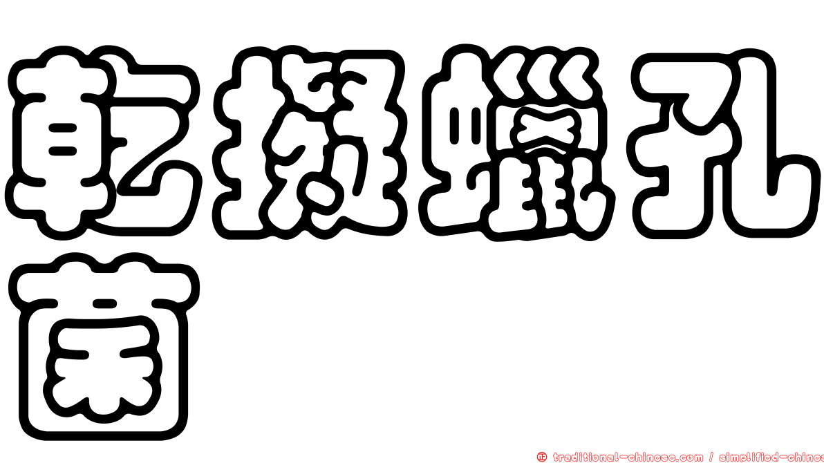 乾擬蠟孔菌