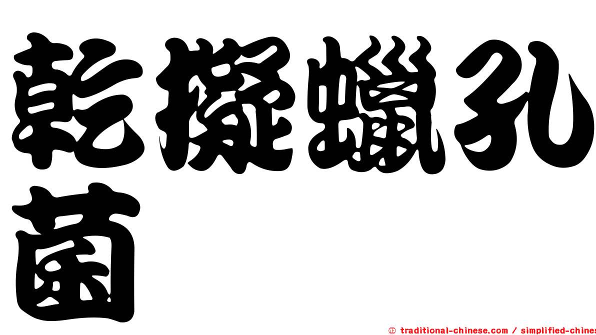 乾擬蠟孔菌