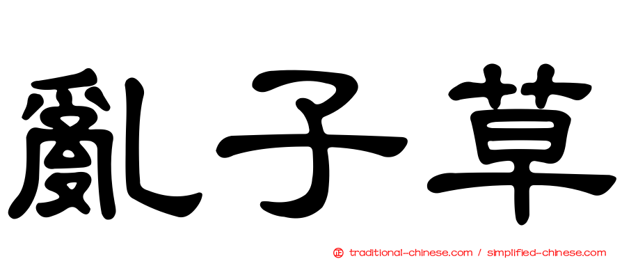 亂子草