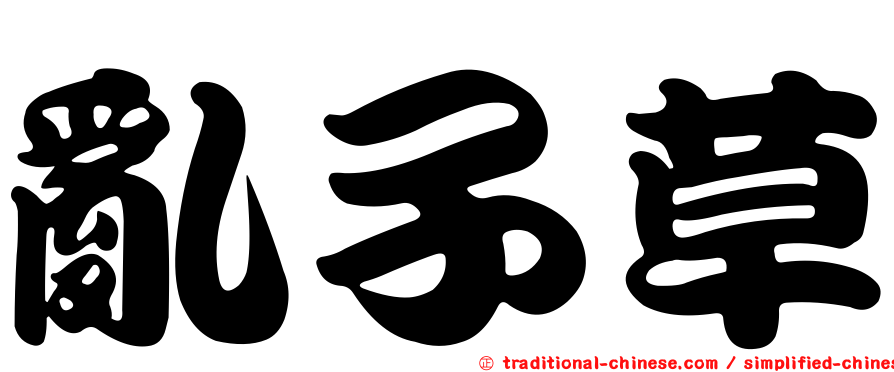 亂子草