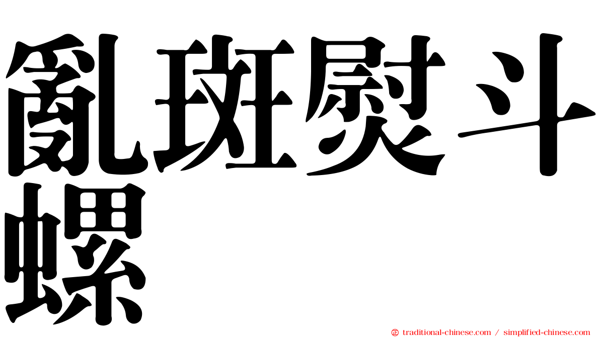 亂斑熨斗螺