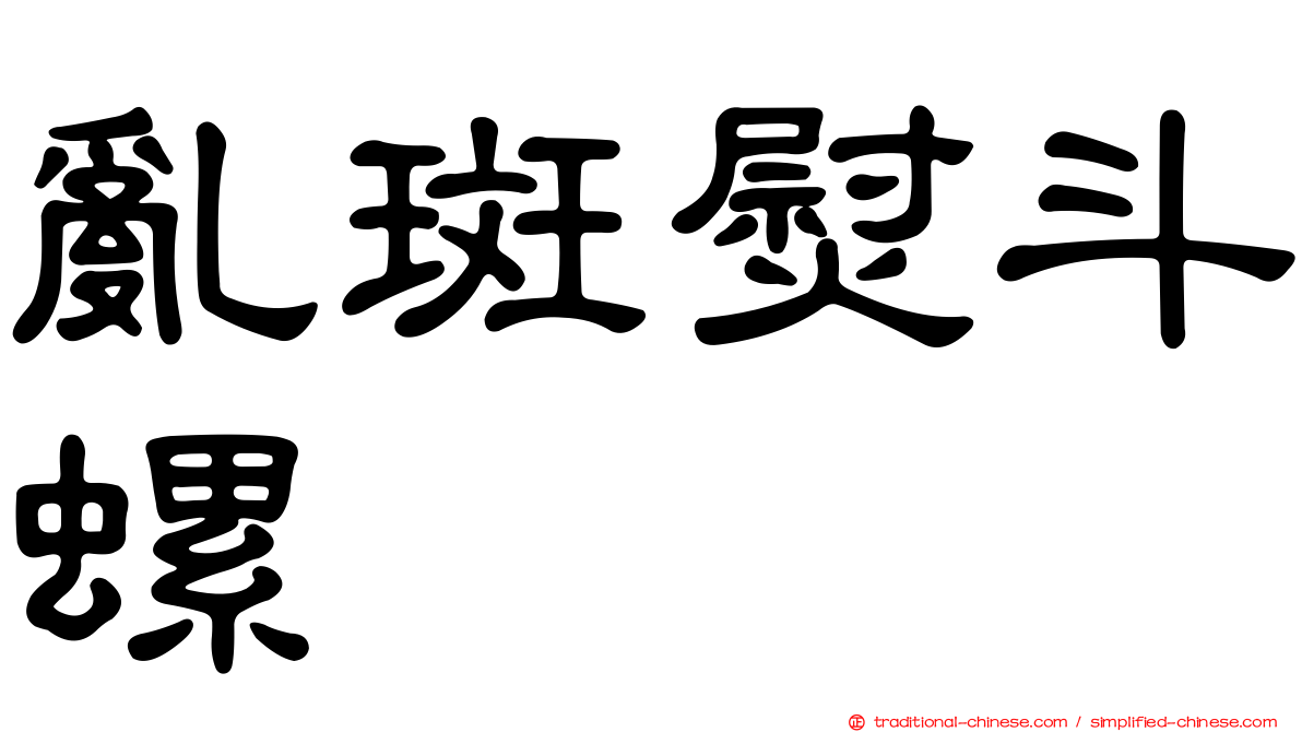亂斑熨斗螺