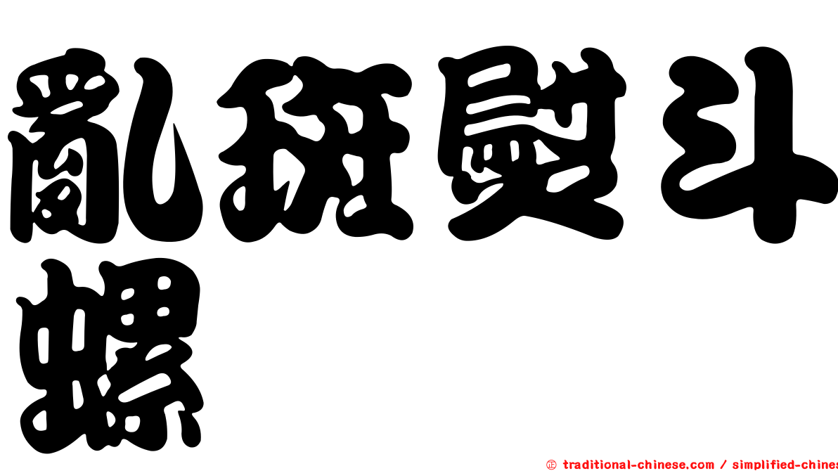 亂斑熨斗螺