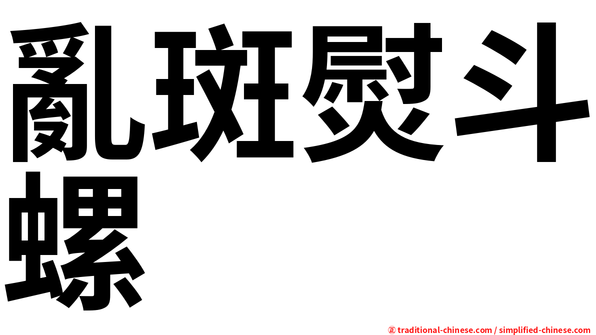 亂斑熨斗螺