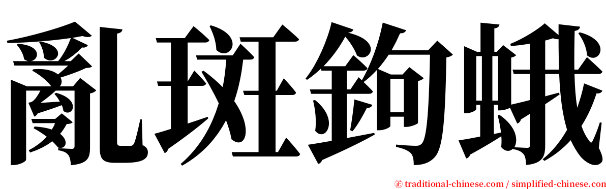 亂斑鉤蛾 serif font