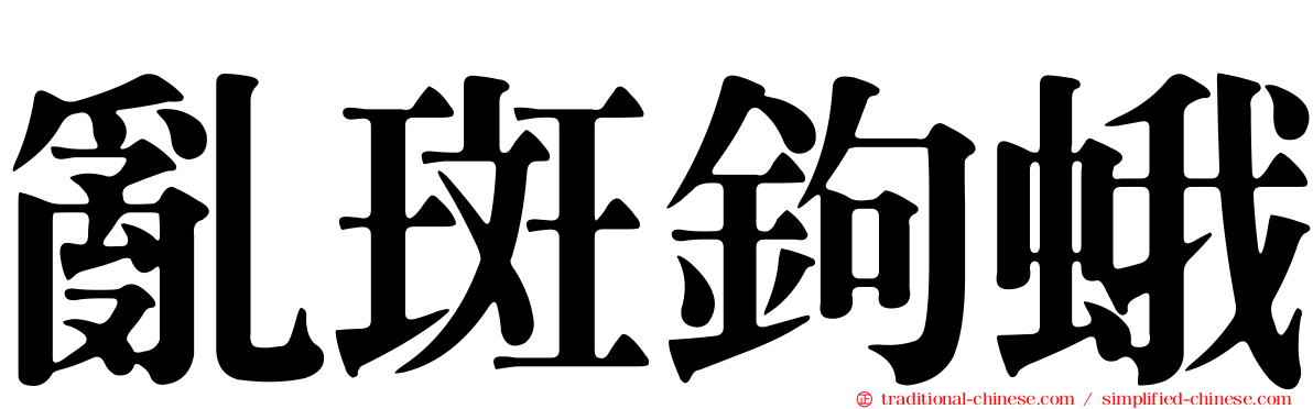 亂斑鉤蛾