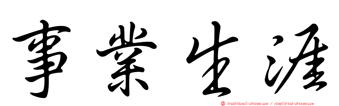事業生涯