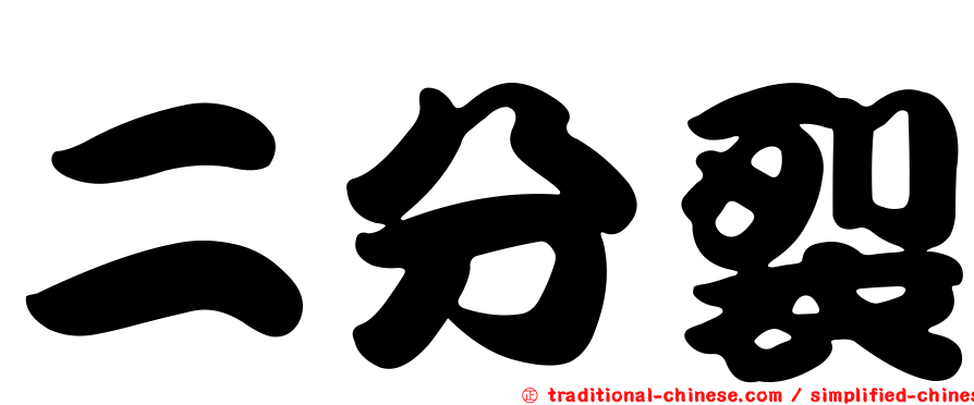 二分裂