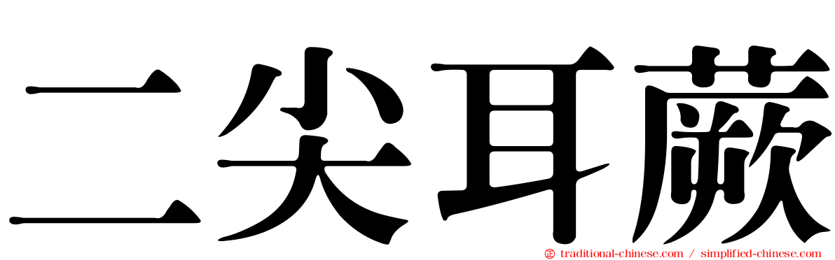 二尖耳蕨
