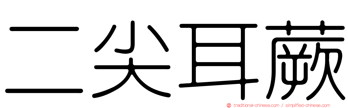 二尖耳蕨