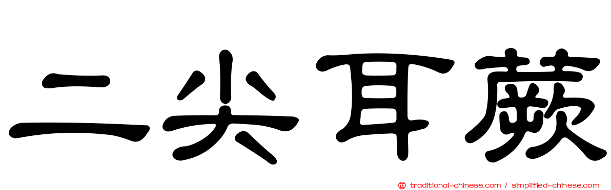 二尖耳蕨