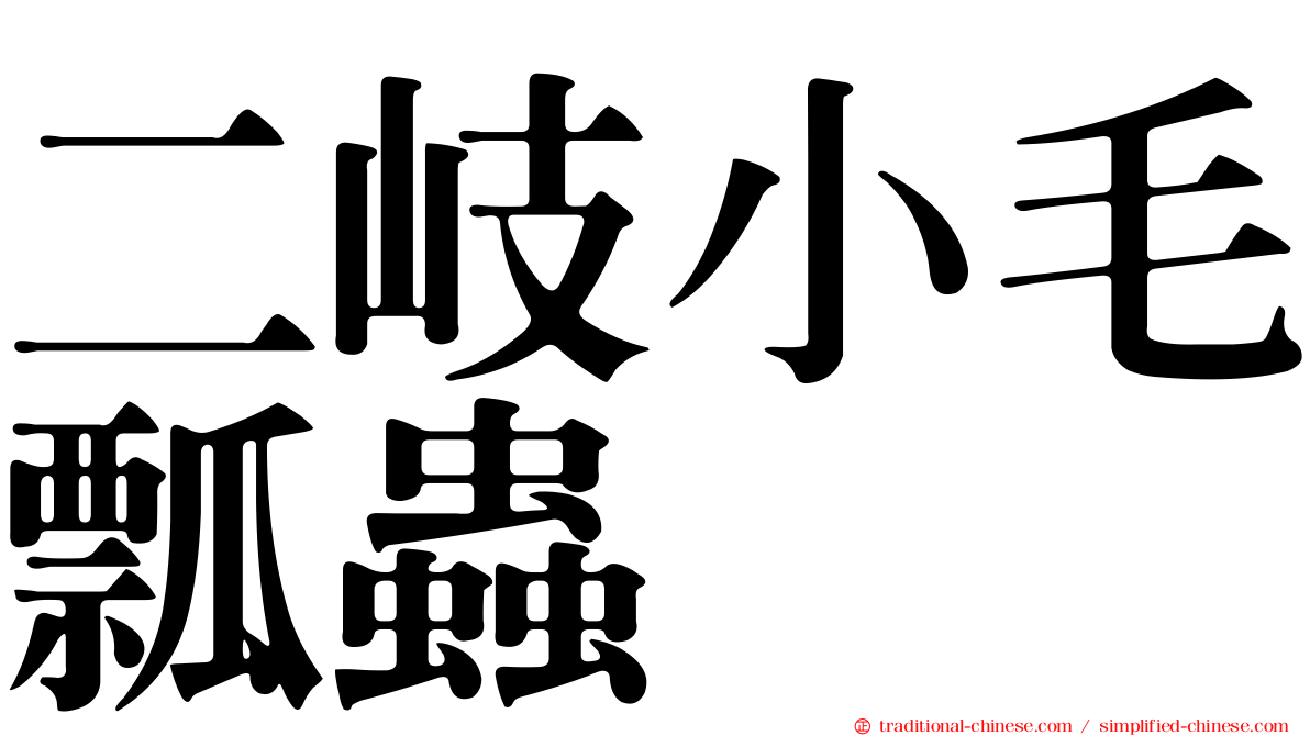 二岐小毛瓢蟲