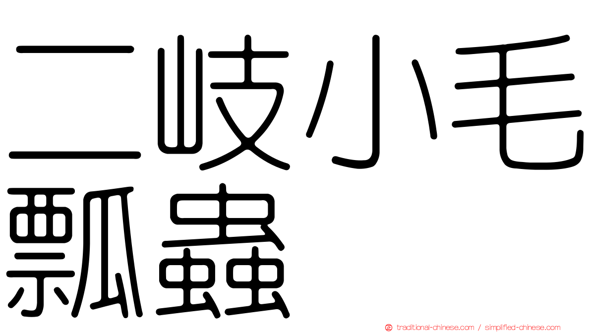 二岐小毛瓢蟲