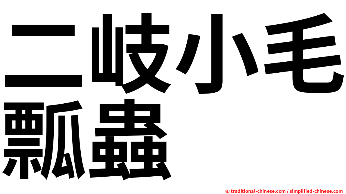 二岐小毛瓢蟲