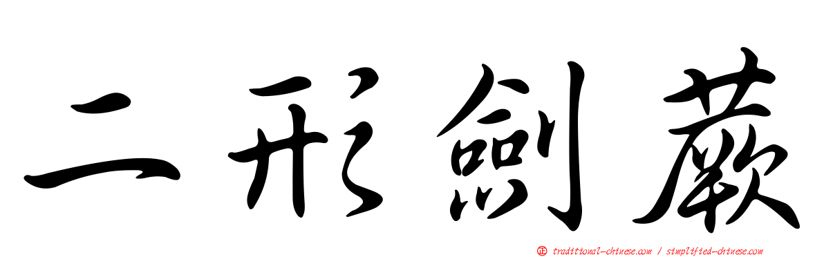 二形劍蕨