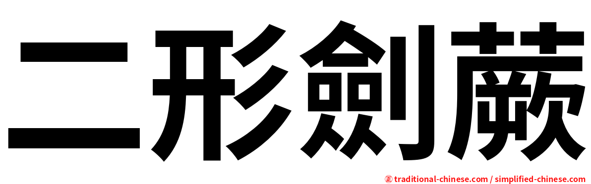 二形劍蕨