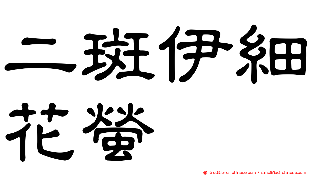 二斑伊細花螢