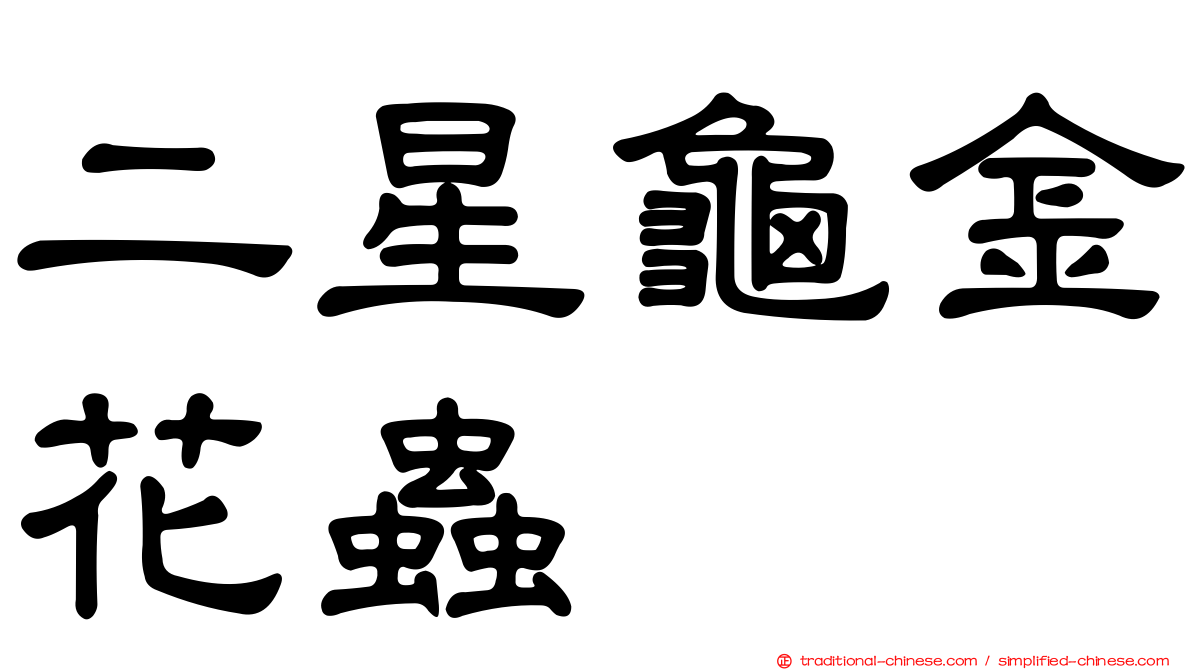 二星龜金花蟲