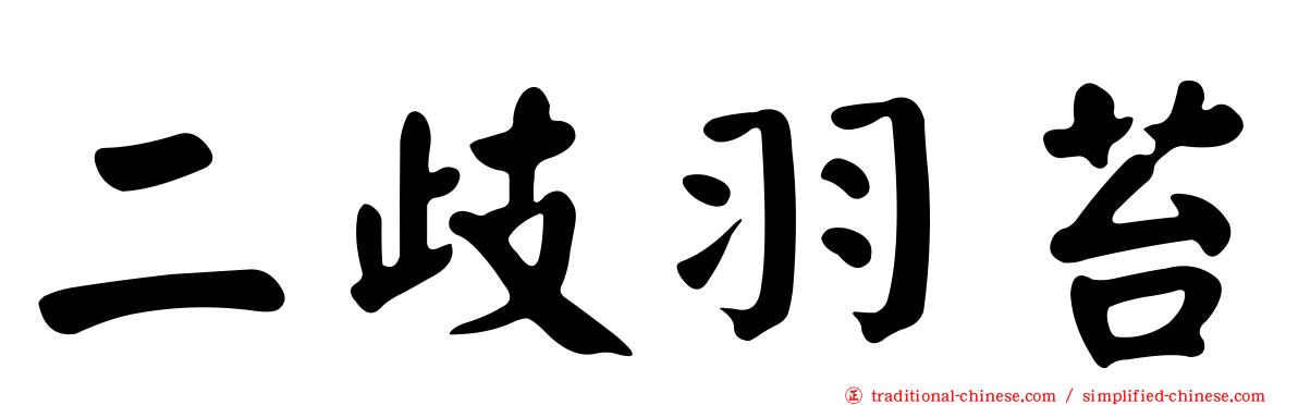 二歧羽苔