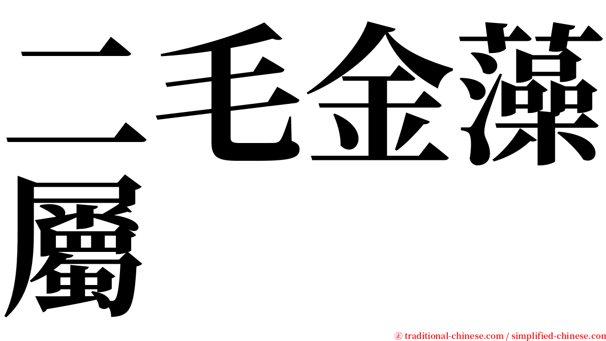 二毛金藻屬 serif font