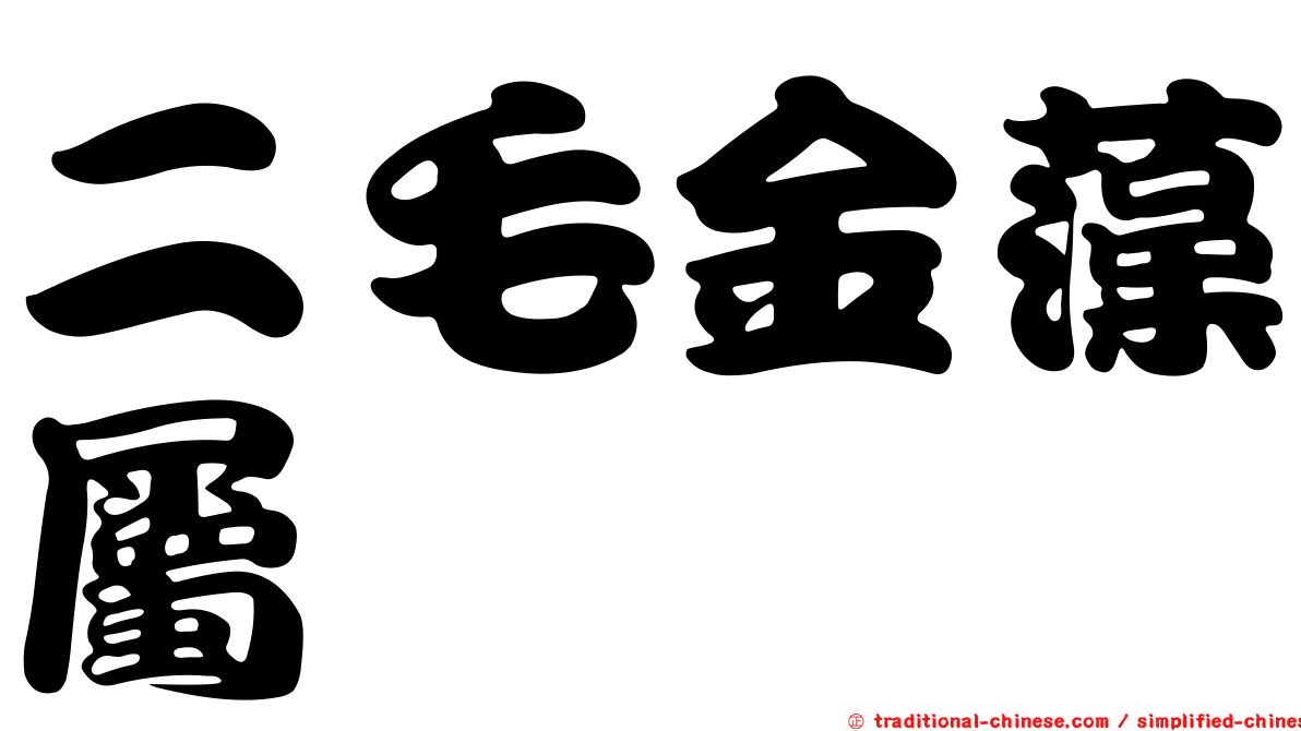 二毛金藻屬