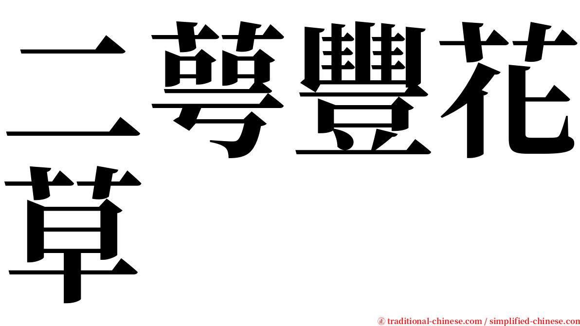 二萼豐花草 serif font
