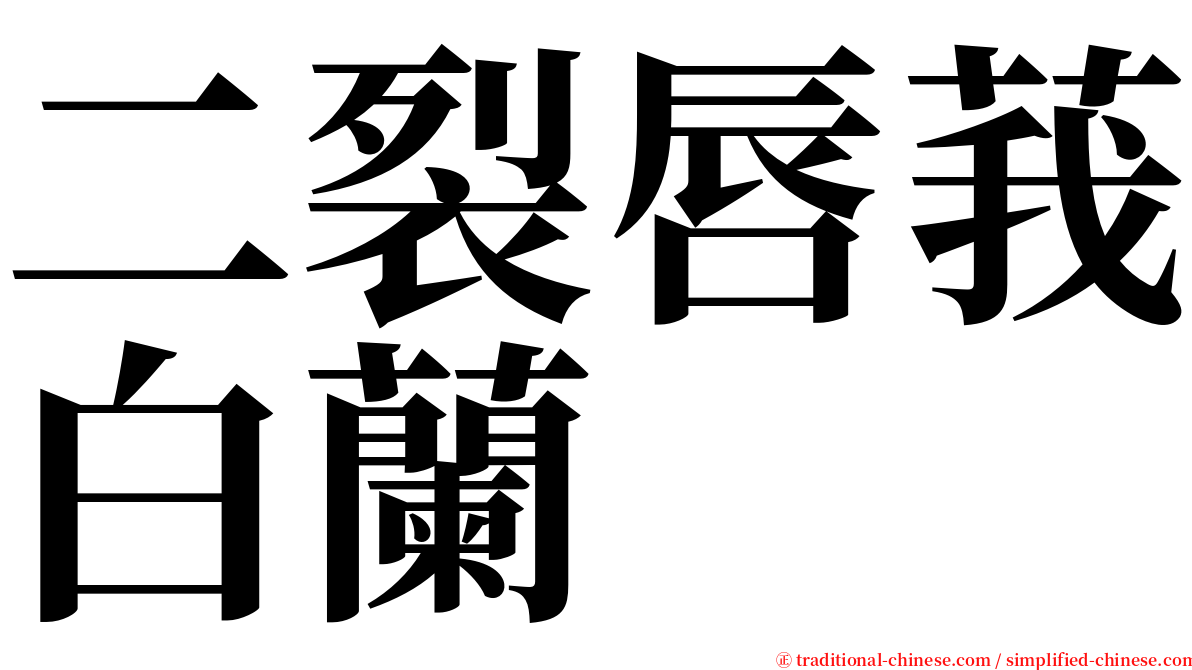 二裂唇莪白蘭 serif font