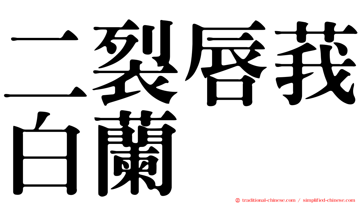 二裂唇莪白蘭