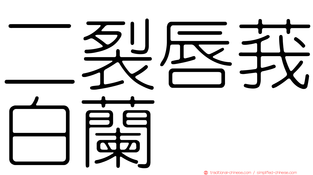 二裂唇莪白蘭