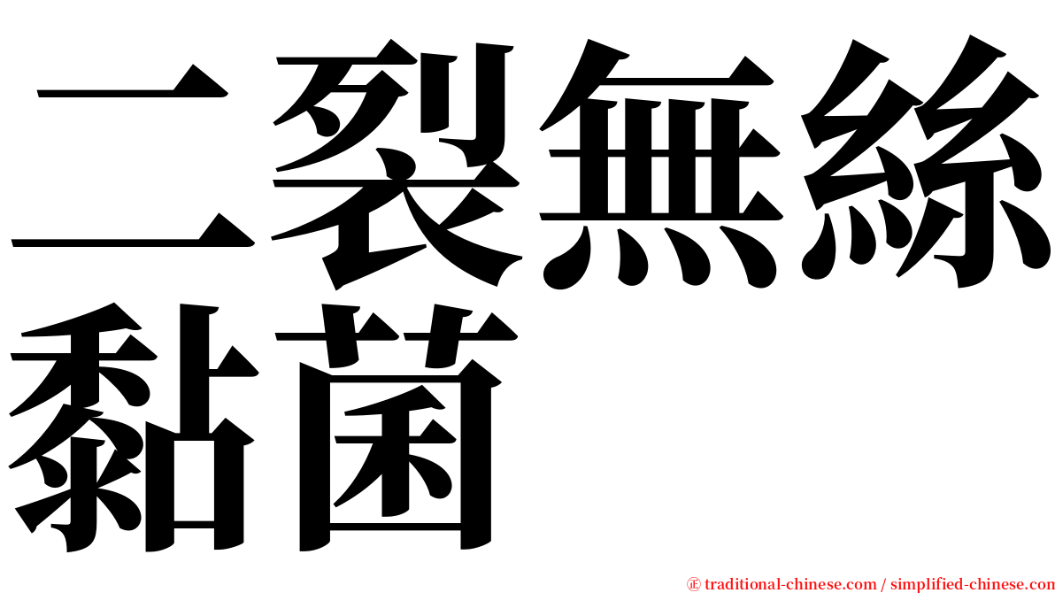 二裂無絲黏菌 serif font
