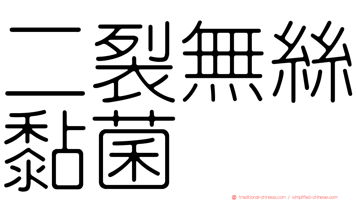 二裂無絲黏菌
