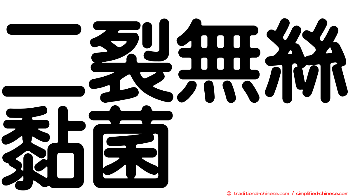 二裂無絲黏菌