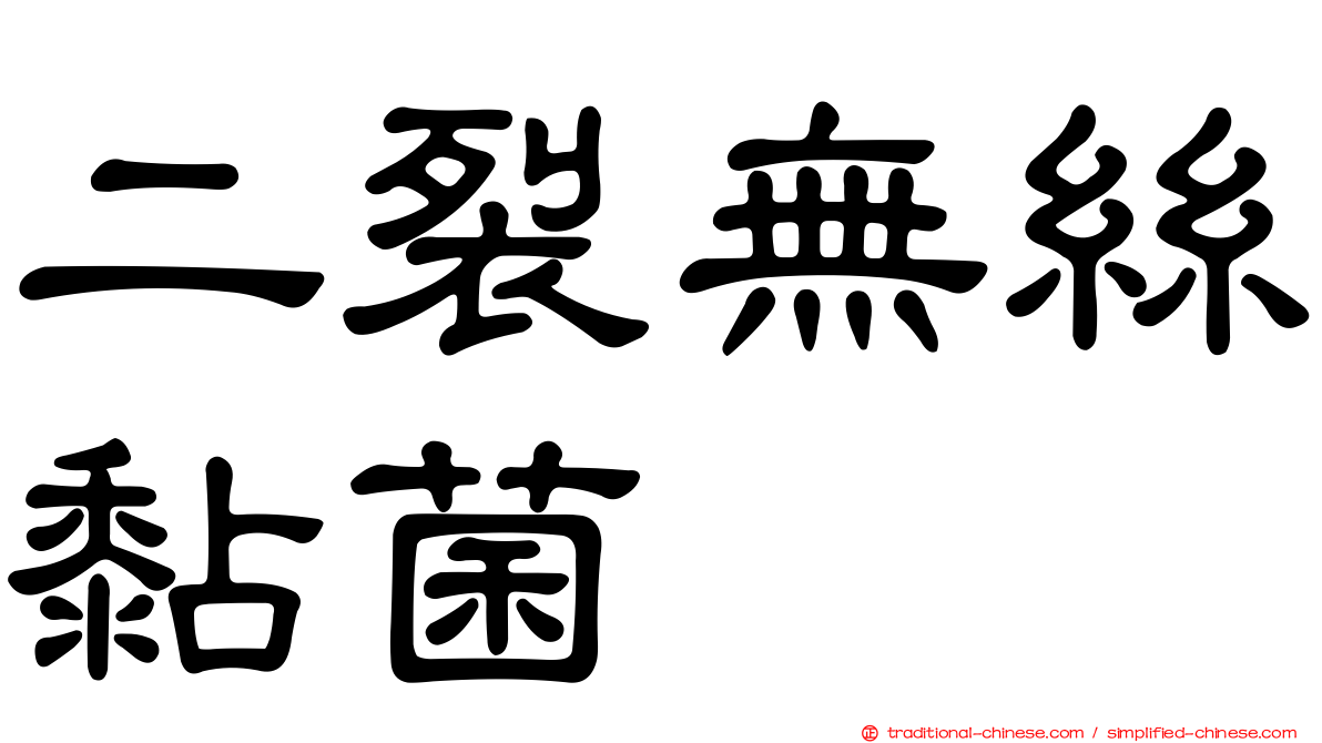 二裂無絲黏菌