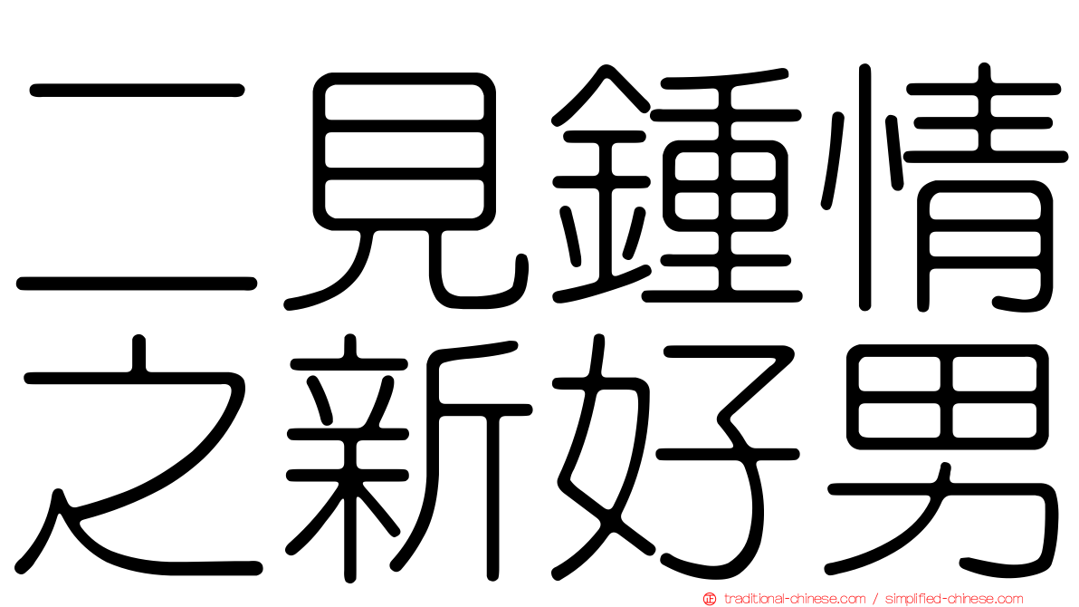 二見鍾情之新好男