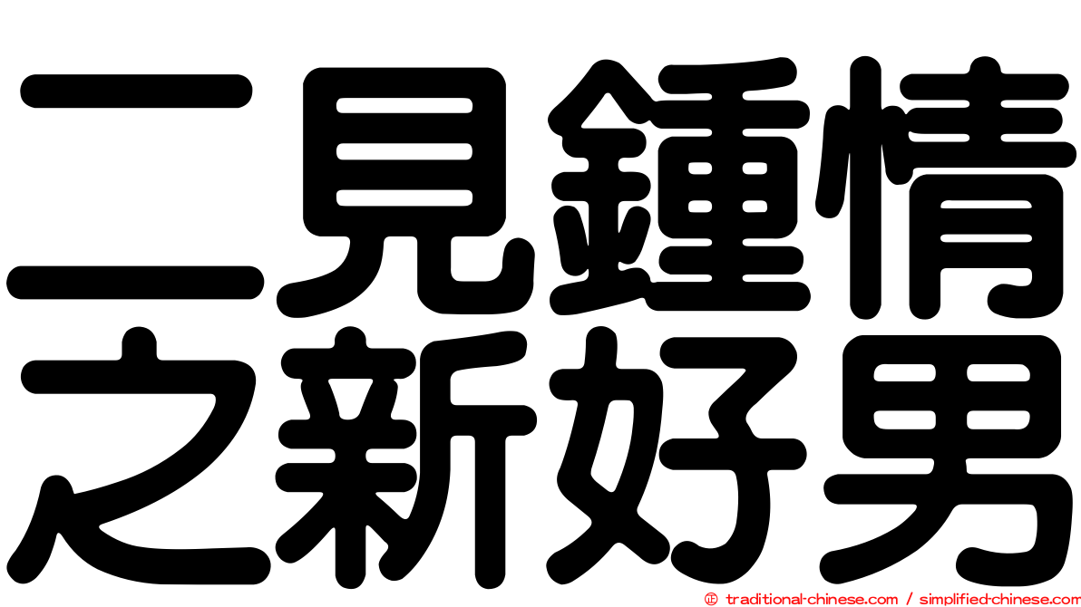 二見鍾情之新好男