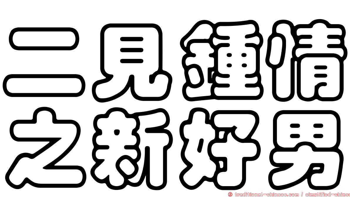 二見鍾情之新好男
